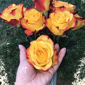 Meet your Posher, Laura